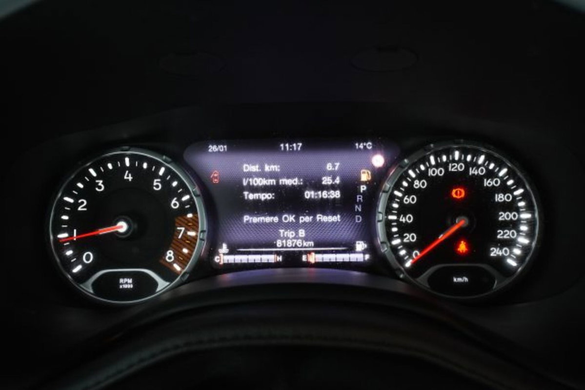 Jeep Renegade 1.3 T4 DDCT Limited (15)