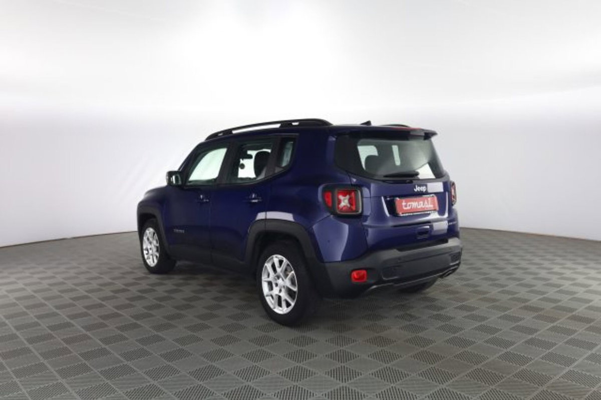 Jeep Renegade 1.3 T4 DDCT Limited (6)