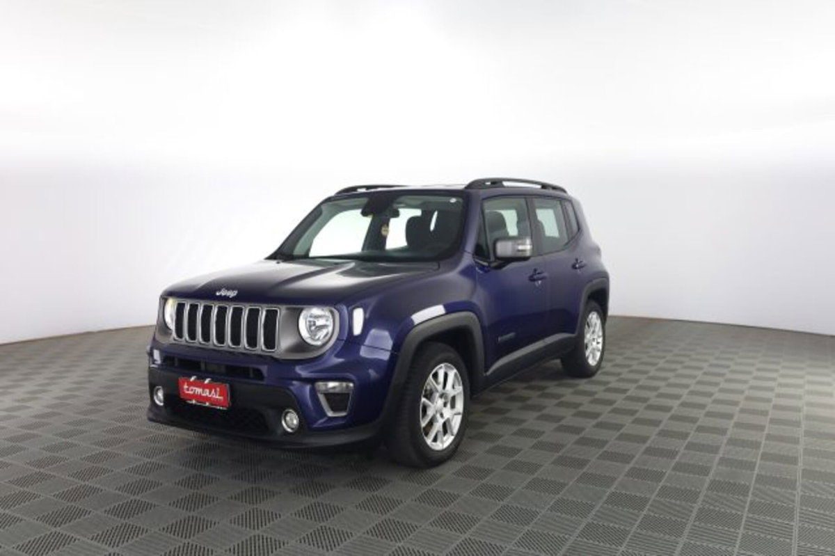 Jeep Renegade 1.3 T4 DDCT Limited (8)