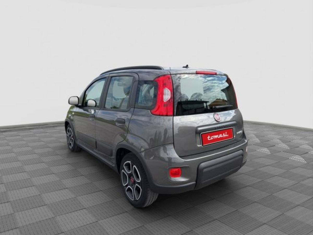 Fiat Panda 1.0 FireFly S&S Hybrid City Cross (3)