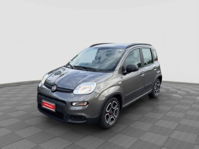 Fiat Panda 1.0 FireFly S&S Hybrid City Cross usata