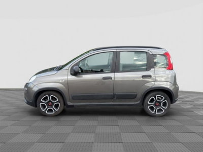 Fiat Panda 1.0 FireFly S&S Hybrid City Cross (2)