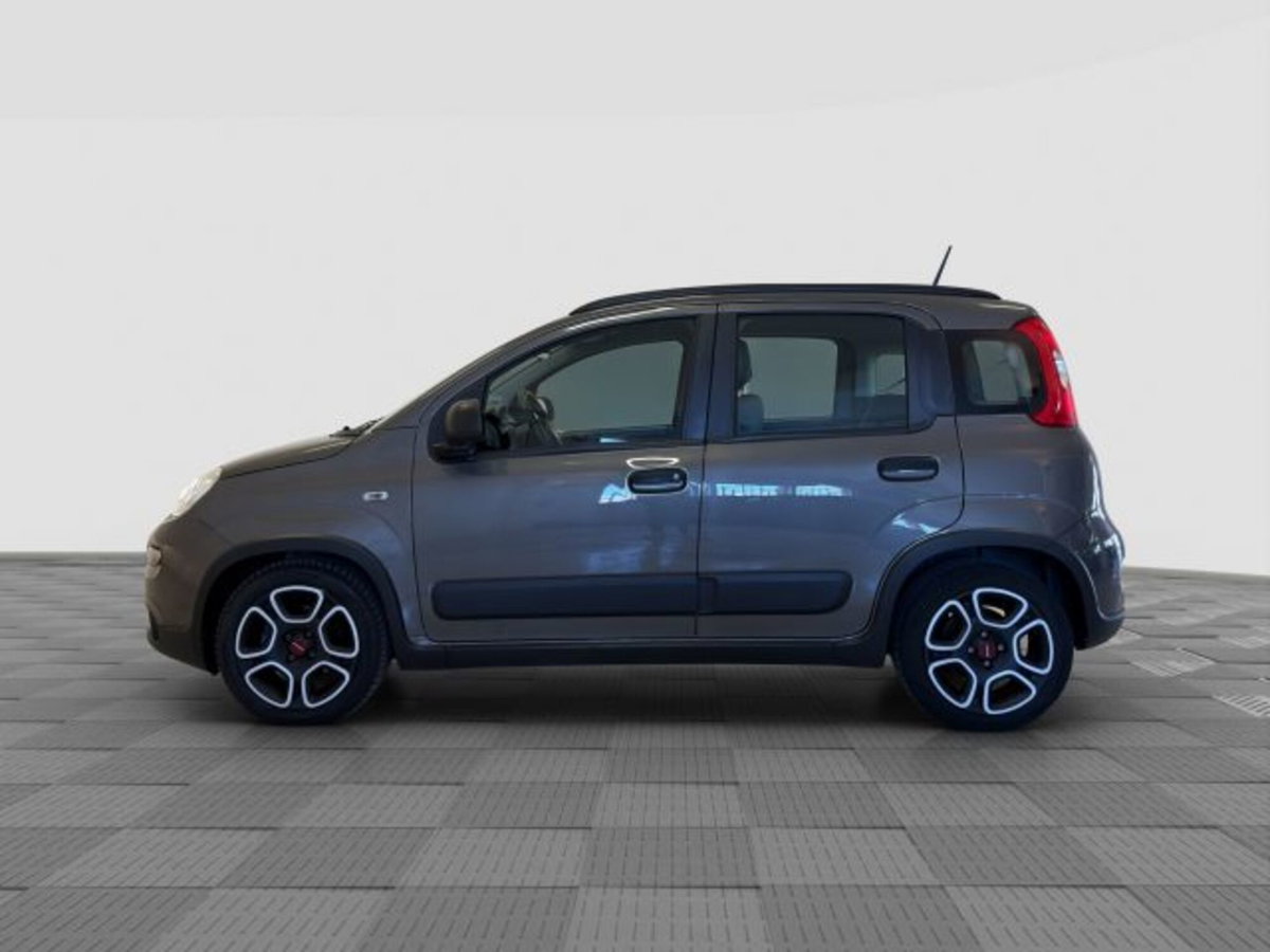 Fiat Panda 1.0 FireFly S&S Hybrid City Cross (2)