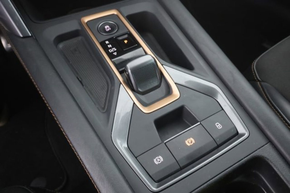 Cupra Formentor Formentor 2.0 TDI (12)