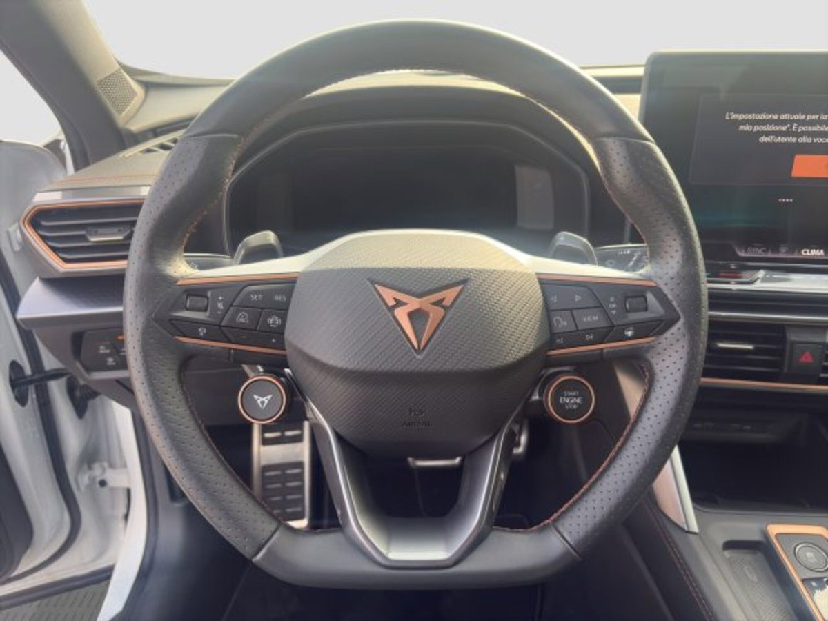 Cupra Formentor Formentor 2.0 TDI (12)
