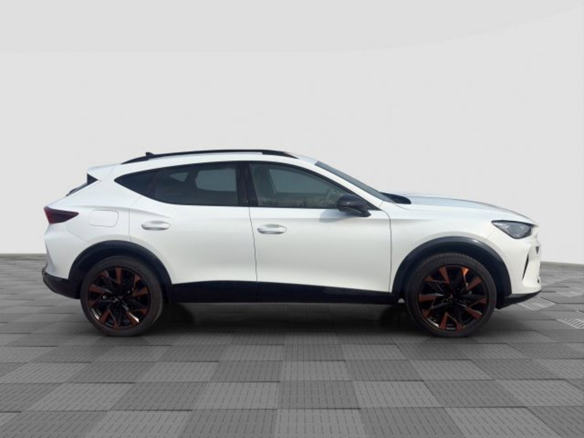 Cupra Formentor Formentor 2.0 TDI (6)