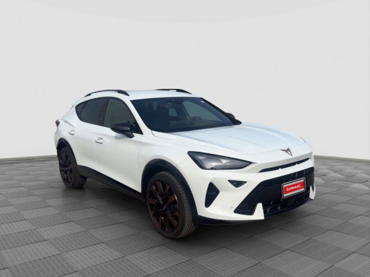 Cupra Formentor Formentor 2.0 TDI (7)