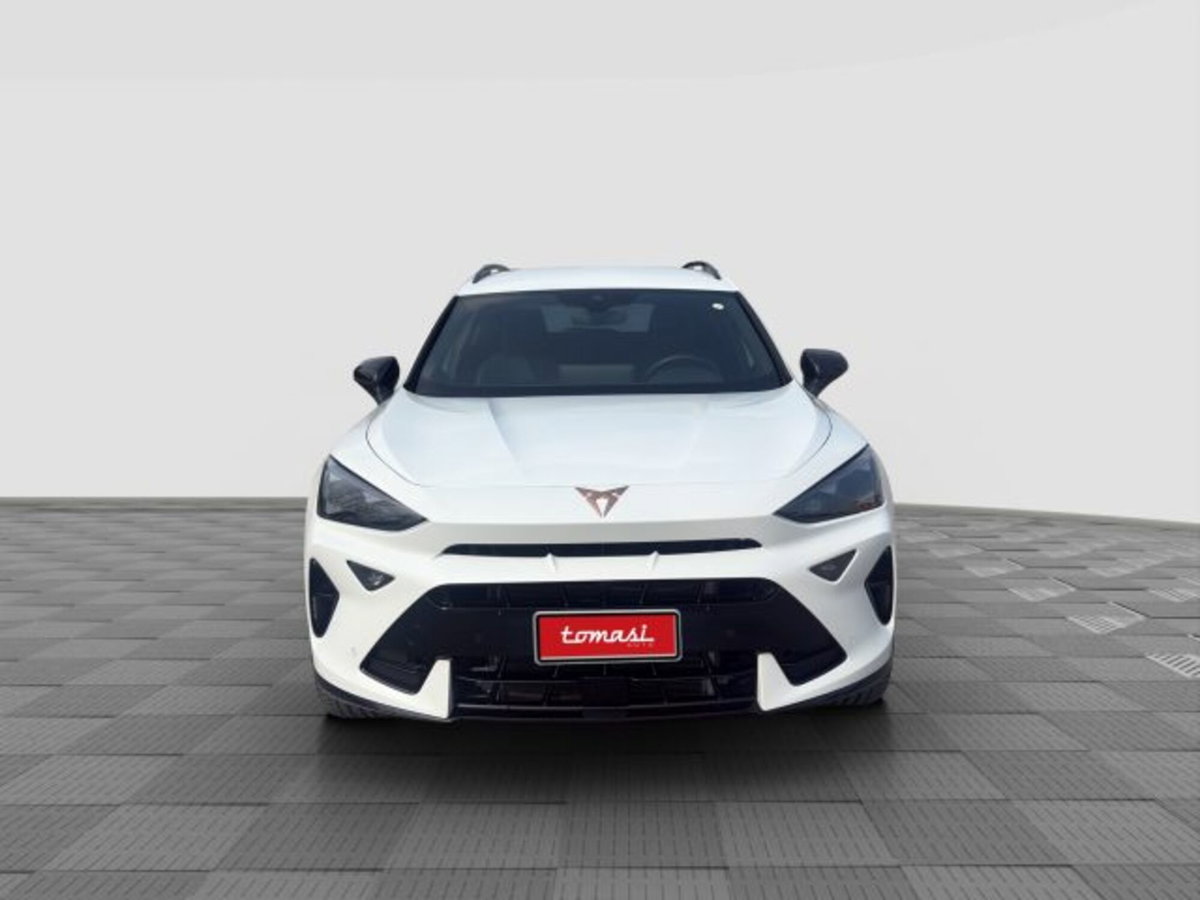 Cupra Formentor Formentor 2.0 TDI (8)