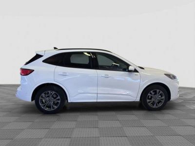 Ford Kuga 2.5 Plug In Hybrid 225 CV CVT 2WD ST-Line (6)