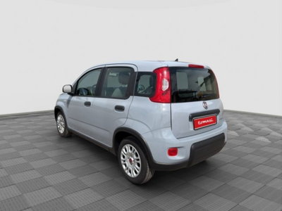 Fiat Panda 1.0 FireFly S&S Hybrid City Cross (3)