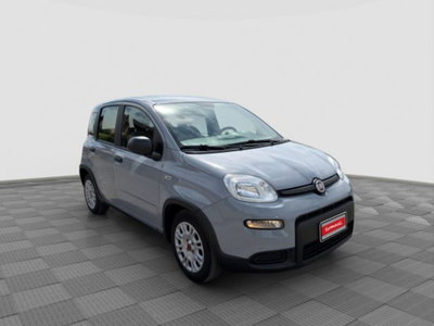 Fiat Panda 1.0 FireFly S&S Hybrid City Cross (7)