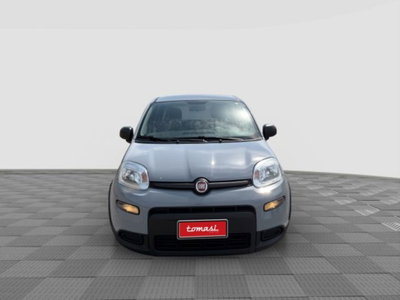 Fiat Panda 1.0 FireFly S&S Hybrid City Cross (8)