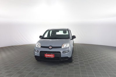Fiat Panda 1.0 FireFly S&S Hybrid City Cross usata
