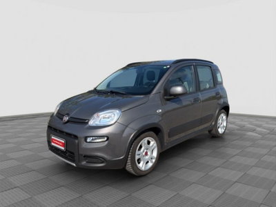 Fiat Panda 1.0 FireFly S&S Hybrid City Cross usata