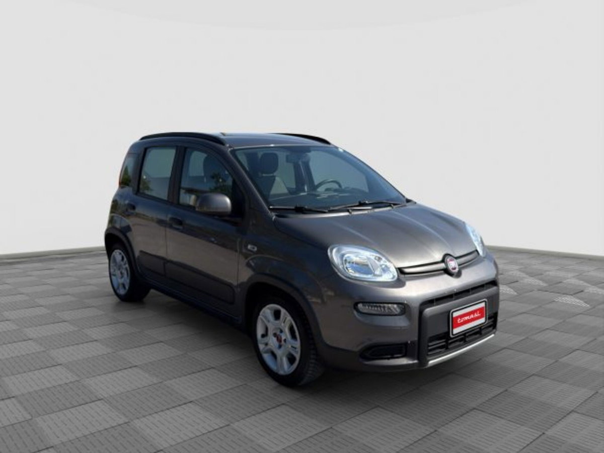 Fiat Panda 1.0 FireFly S&S Hybrid City Cross (7)