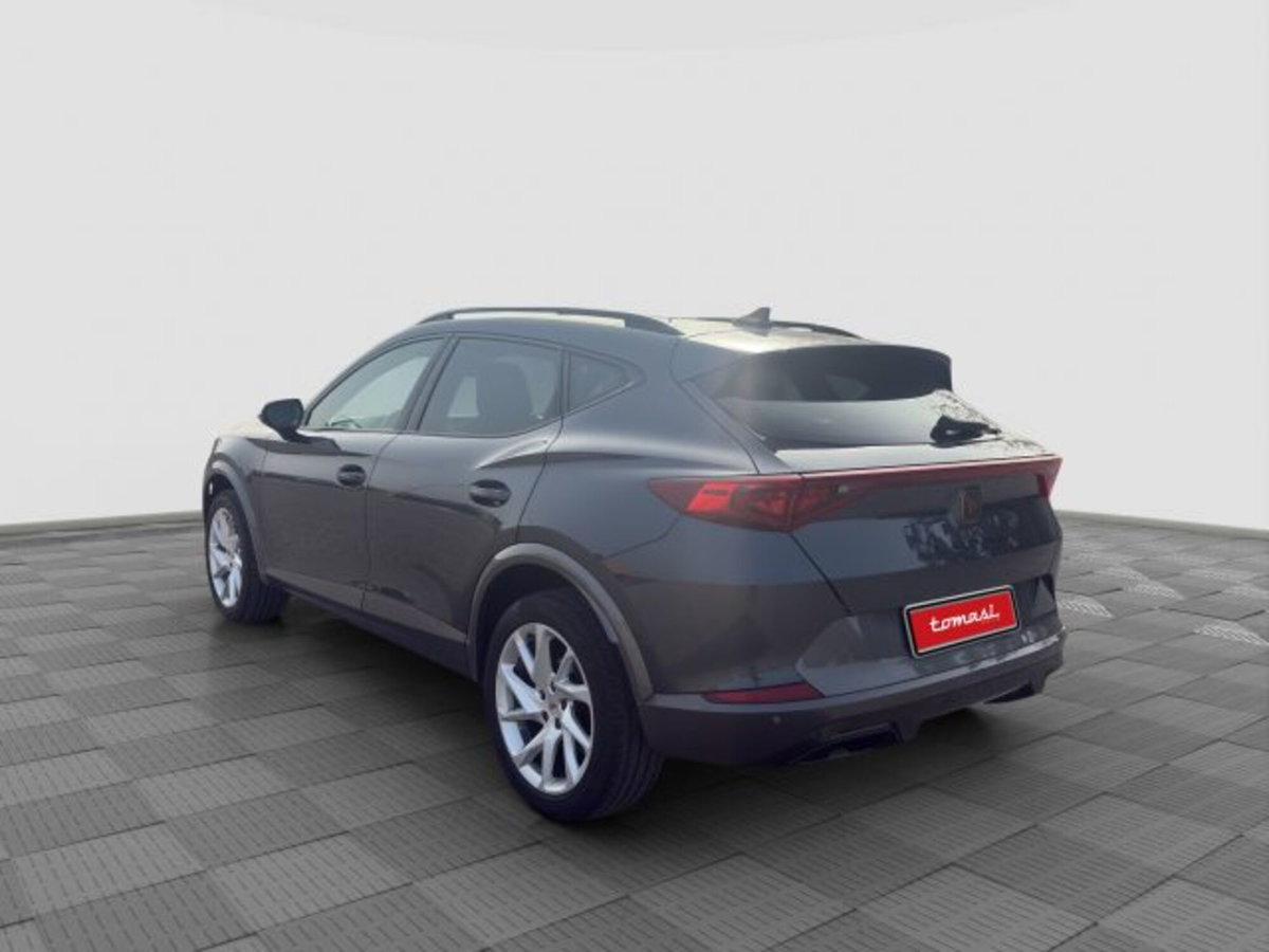 Cupra Formentor Formentor 2.0 tdi 4drive 150cv dsg (3)