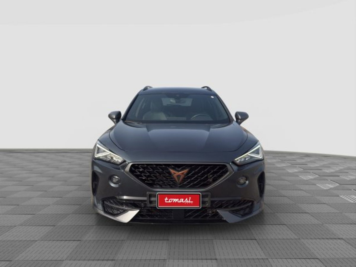 Cupra Formentor Formentor 2.0 tdi 4drive 150cv dsg (4)