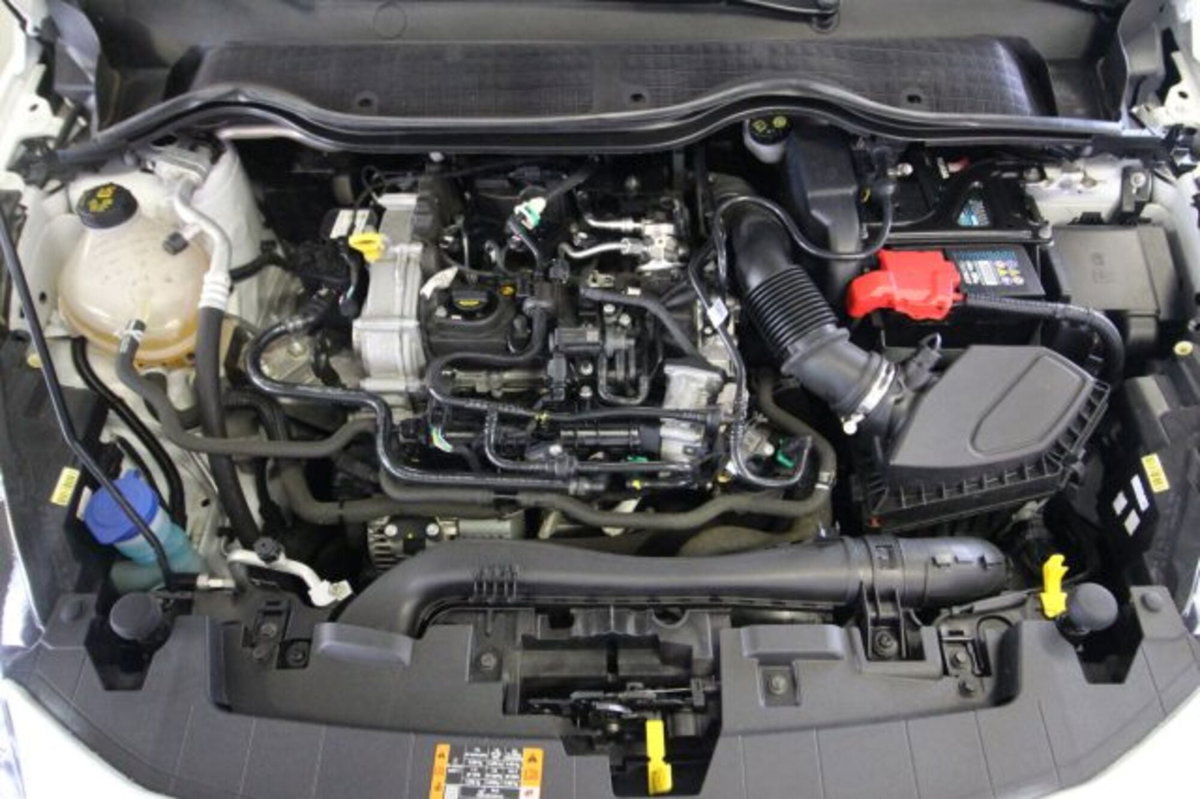 Ford Fiesta 1.0 MHEV 125 CV 3 porte  Trend (16)