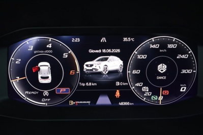Cupra Formentor Formentor 2.0 tdi 4drive 150cv dsg (7)