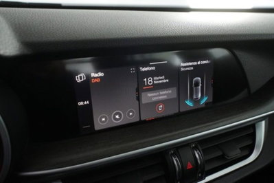 Alfa Romeo Stelvio Stelvio 2.2 Turbodiesel 210 CV AT8 Q4 Ti (10)