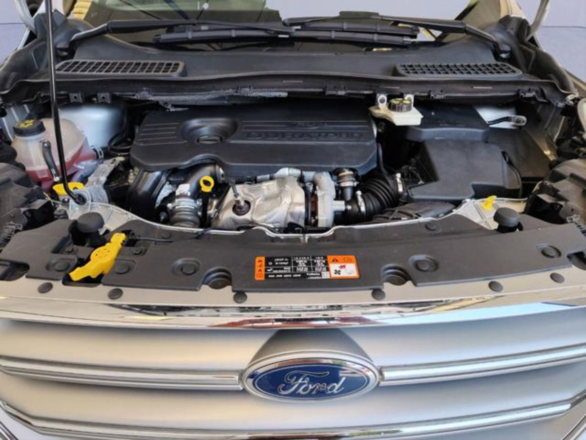 Ford Kuga 1.5 TDCI 120 CV S&S 2WD Plus (17)
