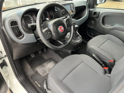 Fiat Panda 1.0 firefly hybrid s&s 70cv 5p.ti (11)