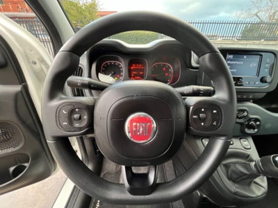 Fiat Panda 1.0 firefly hybrid s&s 70cv 5p.ti (15)