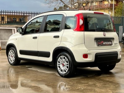 Fiat Panda 1.0 firefly hybrid s&s 70cv 5p.ti (5)
