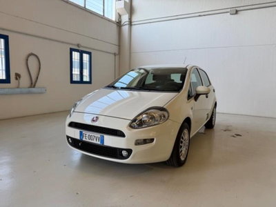 Fiat Punto 1.2 8V 5 porte Lounge usata
