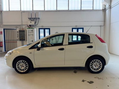 Fiat Punto 1.2 8V 5 porte Lounge (2)