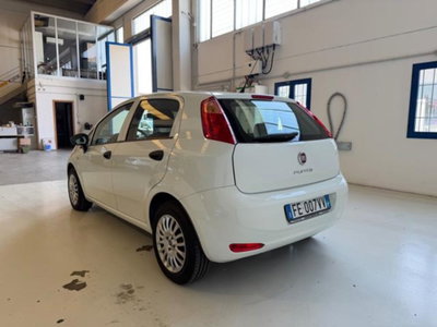 Fiat Punto 1.2 8V 5 porte Lounge (3)