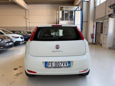 Fiat Punto 1.2 8V 5 porte Lounge (4)