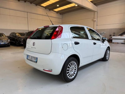 Fiat Punto 1.2 8V 5 porte Lounge (5)