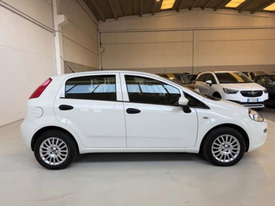 Fiat Punto 1.2 8V 5 porte Lounge (6)