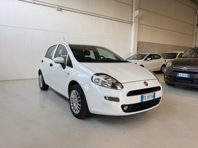 Fiat Punto 1.2 8V 5 porte Lounge (7)