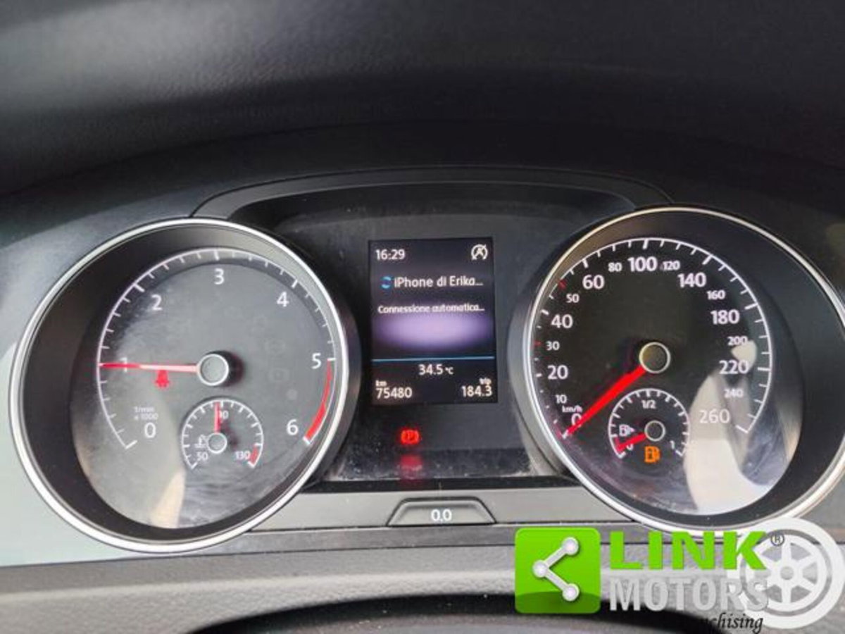 Volkswagen Golf 1.6 TDI 115 CV 5p. Business BlueMotion Technology (9)