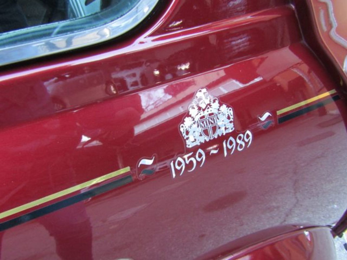 Austin Rover Mini Cabrio Moke (19)
