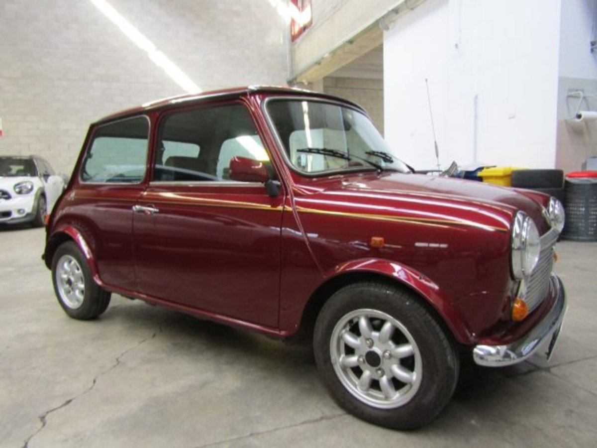 Austin Rover Mini Cabrio Moke (3)