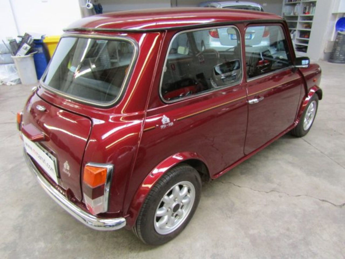 Austin Rover Mini Cabrio Moke (4)
