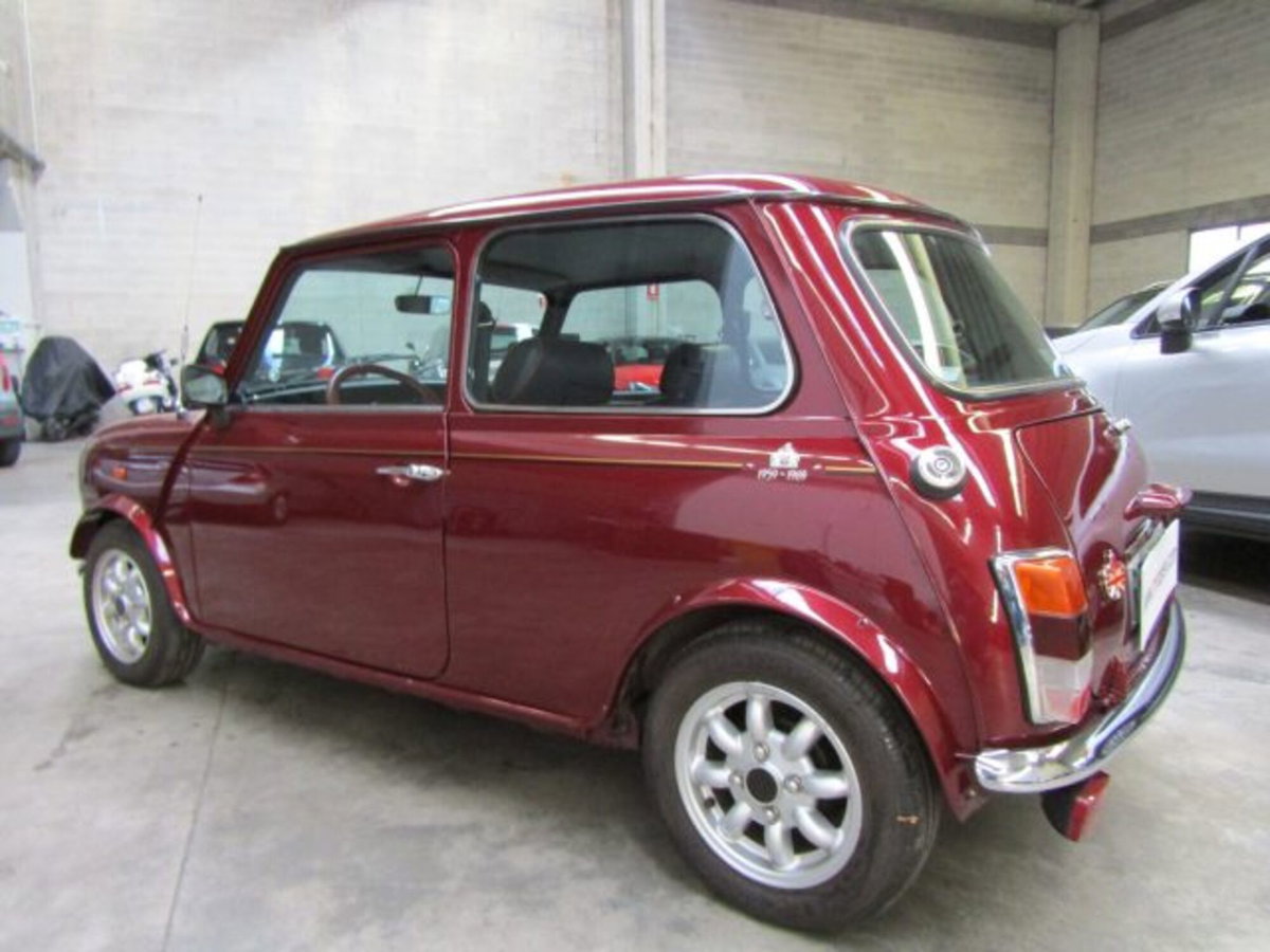 Austin Rover Mini Cabrio Moke (6)