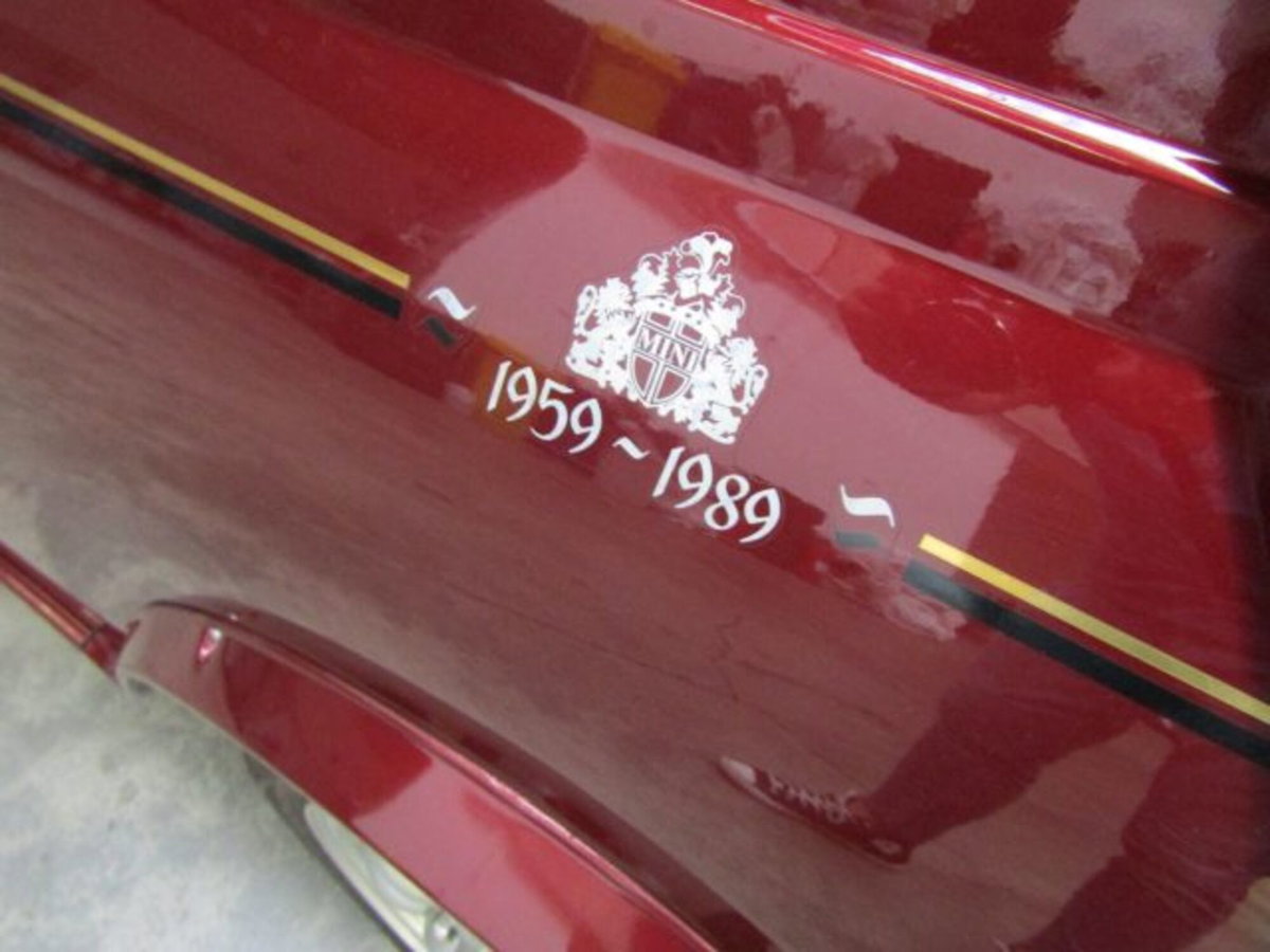Austin Rover Mini Cabrio Moke (7)