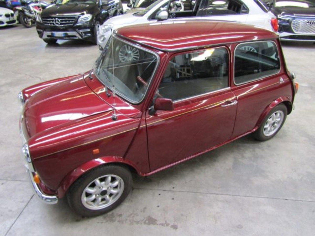 Austin Rover Mini Cabrio Moke (8)