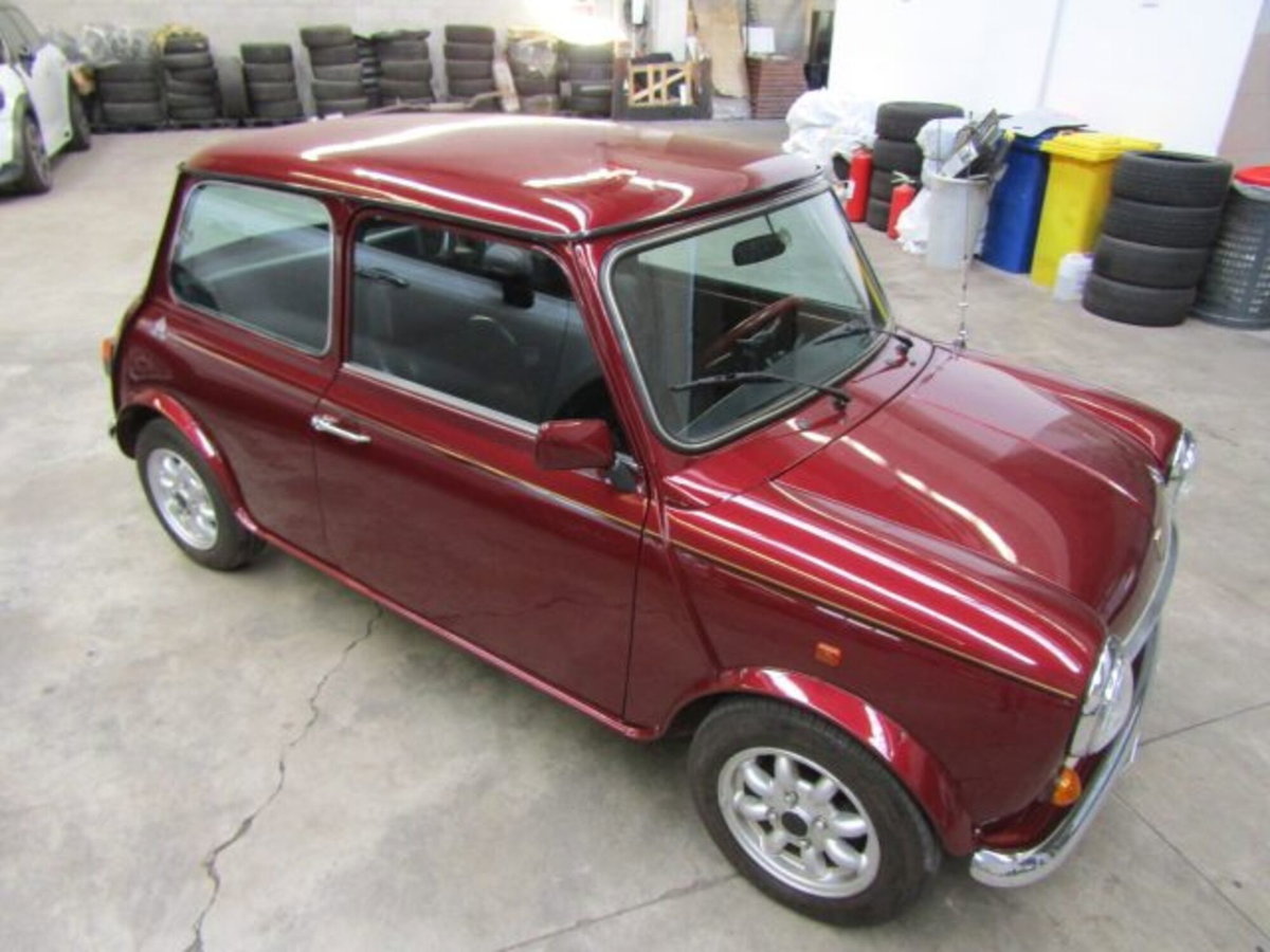 Austin Rover Mini Cabrio Moke (9)