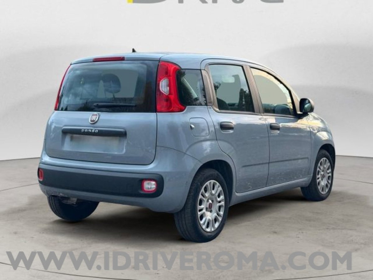 Fiat Panda Cross Cross 1.0 FireFly S&S Hybrid (6)