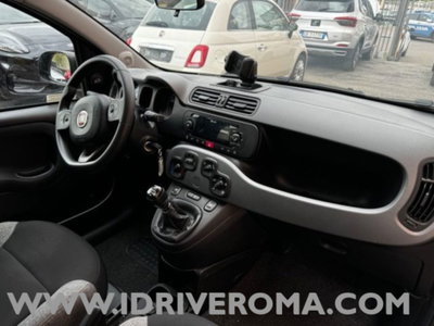 Fiat Panda 1.0 firefly hybrid Pop s&s 70cv (7)