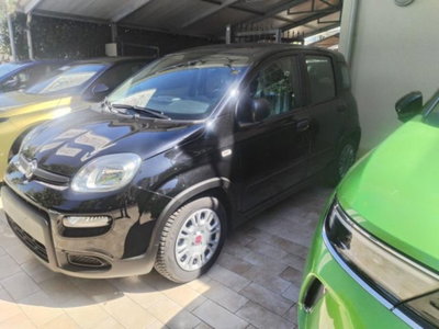 Fiat Panda 1.0 FireFly S&S Hybrid (2)