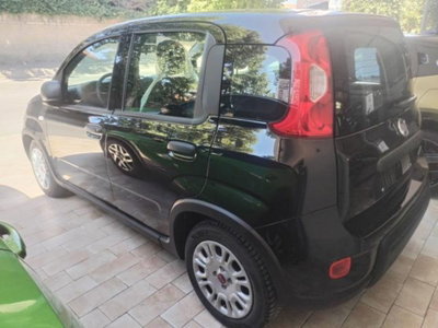 Fiat Panda 1.0 FireFly S&S Hybrid (3)