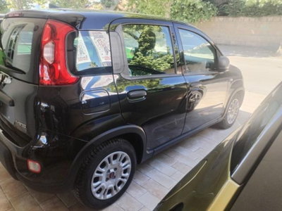 Fiat Panda 1.0 FireFly S&S Hybrid (5)