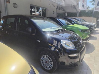 Fiat Panda 1.0 FireFly S&S Hybrid (6)