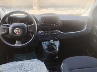 Fiat Panda 1.0 FireFly S&S Hybrid (9)